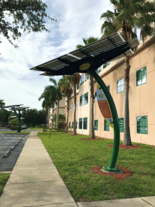 Solar Panels on Sarasota University Campus